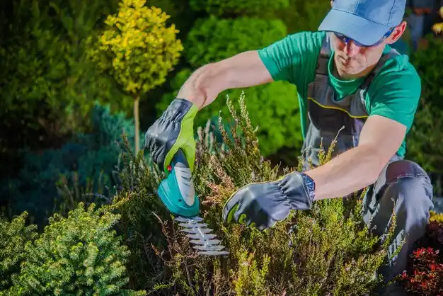 landscaping services Fraser